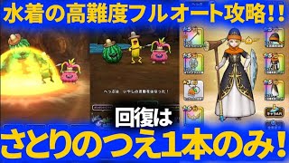 【ドラクエウォーク】回復をさとりのつえ１本のみで高難度フルオートクリア！ベホマラーなくてもいけました【あぶない水着】【トロピカルアミーゴ】