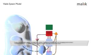 Viable System Model by Malik