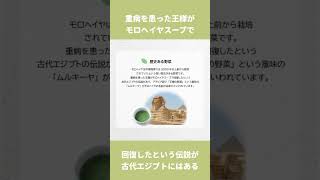 【いづも農縁】野菜の王様”モロヘイヤ”の雑学