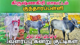 20-12-2024 kundarapalli Friday market கிருஷ்ணகிரி மாவட்டம் குந்தாரப்பள்ளி 🥰 நாட்டு மாடு