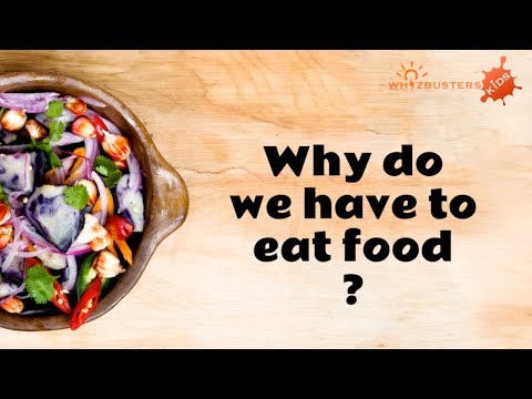 Why do we eat food Class 7?