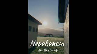 Nepukanesa