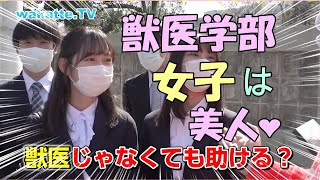 【wakatte】獣医学部の美女まとめ