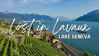 Le paradis des vignobles suisses | Les terrasses de Lavaux (Patrimoine mondial de l'UNESCO)