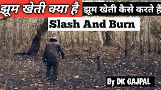 झूम खेती क्या है? इसे कैसे किया जाता है। Jhum kheti kaise karte hai। जाने इस विडियोमे Slash And Burn