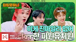 [#피원모하니] 하모니 포레스트 (HARMONY FOREST) Season2 EP.8 | 하모니 유치원 2