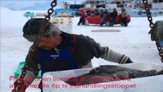 Indhandlingsstop i Uummannaq