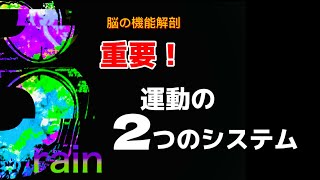 脳の機能解剖【運動の2つのシステム】