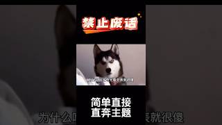 为什么哈士奇光看外表就很傻#抖音 #搞笑 #禁止废话 #热门 #趣事