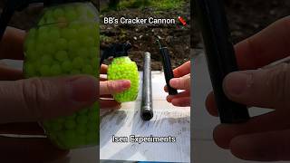 BB's Cracker Cannon Trick #experiment #firecrackers #fireworks #crackers #lifehack