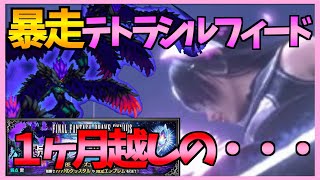 【FFBE】暴走テトラシルフィードを１ヶ月越しに悲願の攻略♯２０６【無課金】