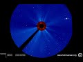 sungrazing comet on august 19 2013 seen on soho lasco c3 coronagraph