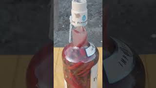 SPICED VINEGAR. #spicy #shortvideo #vinegar #youtube #video #short