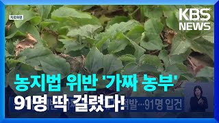 농지법 위반 ‘가짜 농부’ 대거 적발…91명 입건 / KBS  2022.03.23.