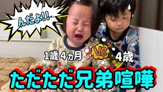 【兄弟喧嘩】1歳弟と4歳兄!!姉の登場に静かに逃げるお兄ちゃんwww