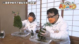 【縁起を担ぐ体験！】伊勢路栽苑（三重県伊勢市）【あまドラ～天野っちのドライブしよう！！～】