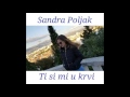 sandra poljak ti si mi u krvi hit factory