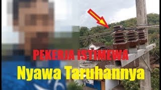 ISTIMEWA. Keberanian pekerja ini sungguh LUAR BIASA. bergelut dengan kabel tegangan tinggi