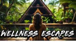 Revitalize Your Soul: Exploring The Tranquility Of Top Wellness Spas & Serene Retreats | Viator.com