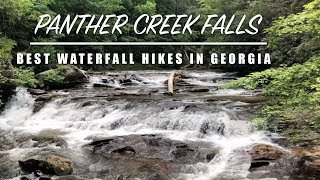 PANTHER CREEK FALLS - Best Places to Hike in Georgia