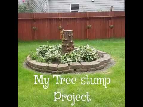 My Tree Stump Project Youtube