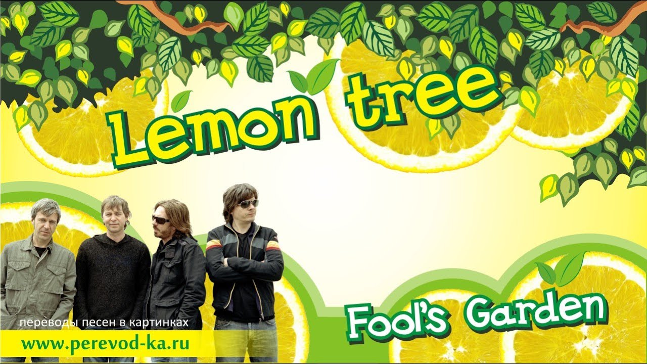 Fools Garden Lemon Tree Agilelasopa