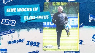 Vorzeitiger Matchball in Bielefeld! | DSC Arminia Bielefeld vs. Hertha BSC | 32. Spieltag