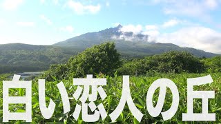 白い恋人の丘【利尻・礼文の旅#10】