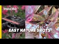 5 MUST TRY Creative Nature Shots