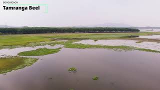 TAMRANGA  BEEL | BONGAIGAON