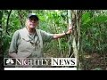 Protecting the Amazon: Tom Brokaw Explores World’s Largest Rainforest | NBC Nightly News