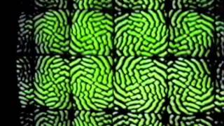 Video Feedback 2