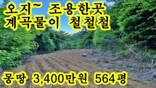 직거래) 계곡물이 철철철~ 564평 ~ 3,400만원~나는자연인 ~오지~계획관리 조용하고 독립적인곳 강원도 정선군 정선토지 땅 매매 매물