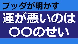 なぜ運が悪い人と運がいい人がいるのか【ブッダの教え】