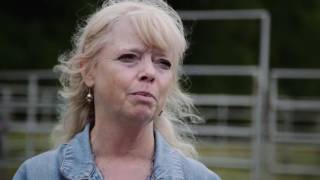 Veterans Coming Home | Equine Therapy