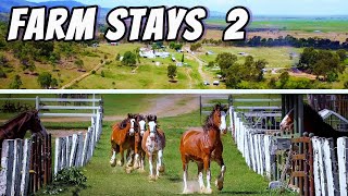 Shiralee Clydesdales Farm Stay