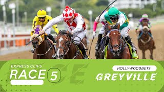 20241030 Hollywoodbets Greyville Race 5 won by FEW DOLLARS MORE