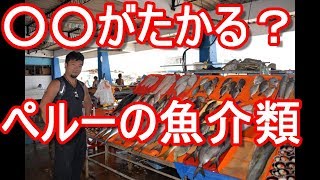 【南米】ペルー・リマ・ミラフローレスの魚市場！現地の魚介類！Fish market in  Miraflores area in Lima in Peru