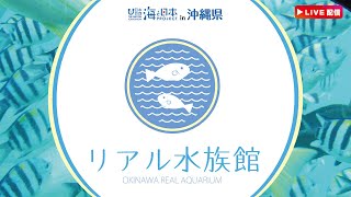 【LIVE】リアル水族館　沖縄の海をお届け♪　ブセナ海中公園からライブ配信中♪| OKINAWA REAL AQUARIUM |