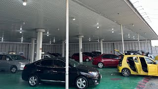 Cập Nhật tổng xe đang có báo giá xe TRẦN TIẾN OTO TIỀN GIANG 0987783027