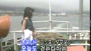 淋しき旅人(1)~翻唱~愛子