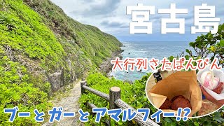 [ 沖縄県・宮古島 3泊4日の旅 ]　#3 伊良部島と下地島をドライブ　～ ヤマトブー大岩 / サバウツガー / 伊良部そば かめ / なかゆくい商店 / 佐和田の浜 / 中の島海岸 / 帯岩 など