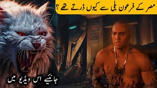 Real History of Egyption Cats in Urdu Hindi | Firon Billi Se Kiun Darte Thay |  Islami Manzar