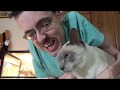 CAT GETS REVENGE 🐱 - Ricky Berwick