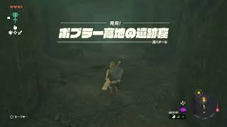 ポプラー高地 鳥望台の入り方 | ゼルダの伝説TotK攻略