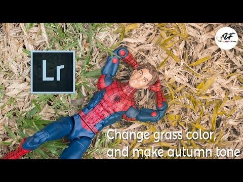 Lightroom Tutorial: Change Grass Color and Make Autumn Tone - ToyPhotography Lightroom Tutorial: Change Grass Color and Make Autumn Tone - ToyPhotography