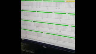 Análise no genemapper