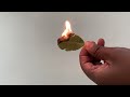 burn bay leaf in your roon and watch what happen