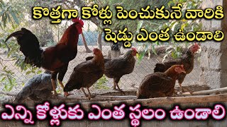 కొత్తగా నాటు కోళ్లు పెంచుకునేవారు ఏం చేయాలి||కోళ్ల కు తీసుకోవలసిన జాగ్రత్తలు||నాటు కోళ్ల పెంపకం