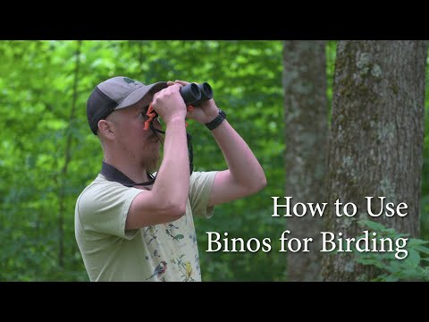 Binoculars for Bird Watching – How, Why and What (Birding Series #1) (Nikon Monarch)
